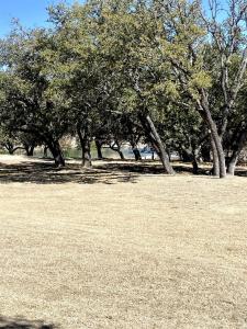 Efficiency-Style Cabin with Spa Lovely for a Couples Escape in Hunt, Texas