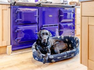 5 Bed in Blacklunans CA409