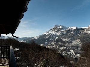 Appartement 2 pièces 4 pers terrasse parking Les Carroz dArâches - FR-1-572-293