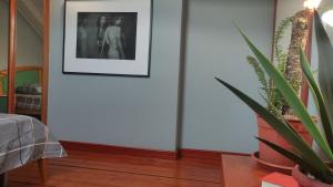 Woodpecker Backpacker Hostel & Tours , Excursions