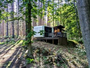 Secluded Modern Tiny House with Wood-Fired Hot Tub Near Trails in Sears, Michigan