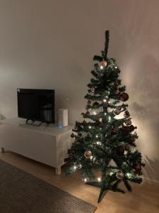 Peaceful Studio Near City Centre - Private Sauna & Free Parking