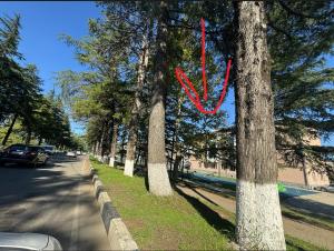 Green House in Tskaltubo