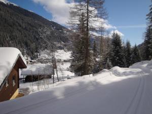 Ferienbungalows MOHR