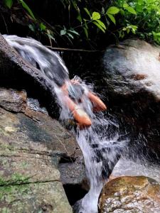 Tea Escape Holiday Villa and Cabanas