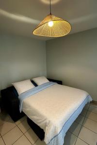 Centre ville - Berthelot