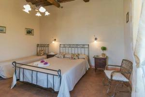 Sara Spacious Private Pool Apartment Near Lucca