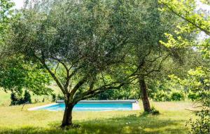 Mas Piscine Proche Uzès