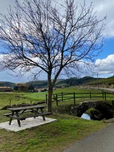 Rozando el mar en puerto calderon