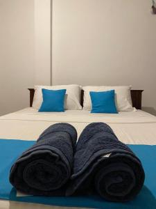 Paddy Breeze Apartment