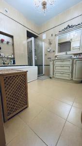 VIP spacious apartment in the heart of Kiev