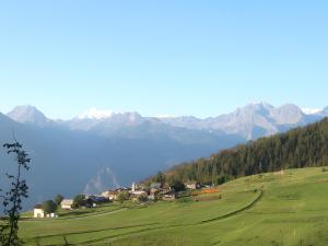 Le Nid des Rouges Gorges