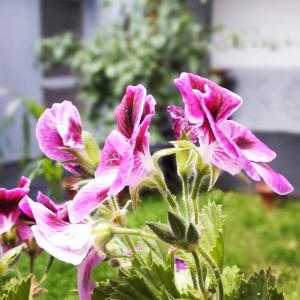 Hotel el Conquistador