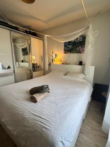 Cozy & Sunny apartment in Amsterdam west