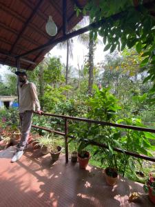 Coorg jungle Cottage