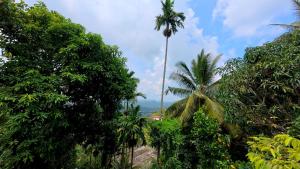 Ceylon Bliss Retreat- Kandy Wellness Hotel