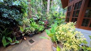 Ceylon Bliss Retreat- Kandy Wellness Hotel
