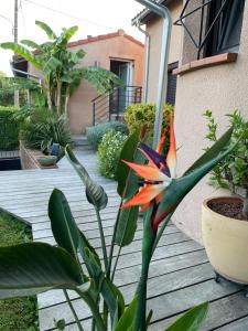 Coup de cœur, Ôverger, aux portes de Toulouse