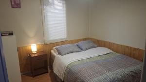 CABAÑA OSORNO Ruta 215