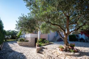 Apartment Povljana 6298b