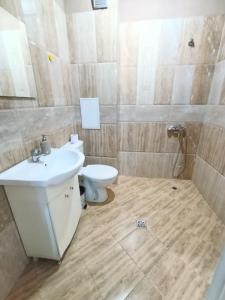 Mladost the City of Fountains Vitosha View