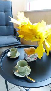 Mladost the City of Fountains Vitosha View