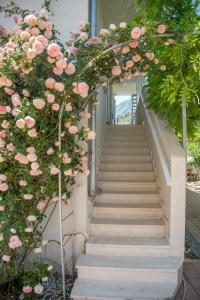 Apartments with parking space Orebic, Peljesac - 10251