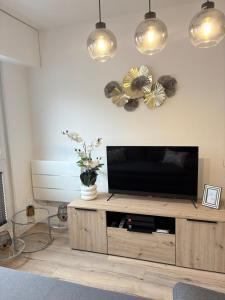 Magnifique logement hyper centre Mulhouse Lambert