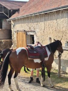 Yourte Castanea Insolite Val de Loire proche Langeais & Châteaux