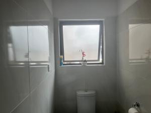 Starlink & solar perfect long-term Ibex Home