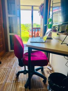 TeamV Kubo Guesthouse