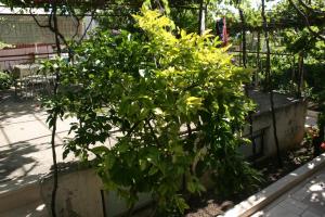 Apartment Makarska 6844c