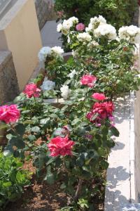 Apartment Stara Novalja 6469b