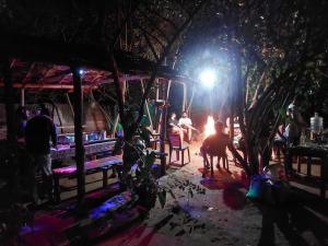 Jungle Mist Cottages