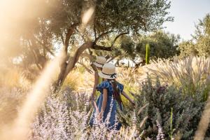 Stella Cadente - Awaken to 5star Luxury by etouri