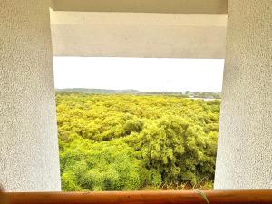Lavish 2BHK Apartment with Mangrove View - Near Candolim Beach