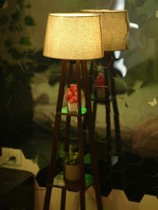 The Forest Glow - Nature Studio Stay, Malsi Dehradun