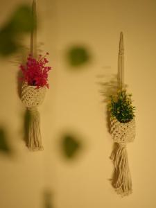 The Forest Glow - Nature Studio Stay, Malsi Dehradun