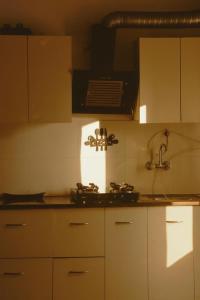 The Forest Glow - Nature Studio Stay, Malsi Dehradun