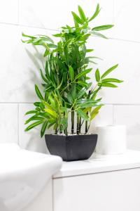 Modern 2 BR Apt with Free parking in Cardiff Pontcanna