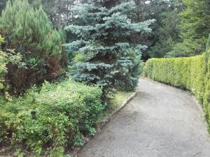 Greifenbachmühle Ehrenfriedersdorf