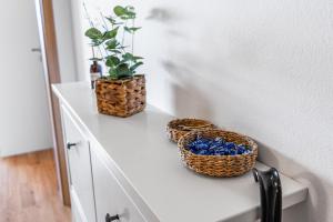 Airport Apartman Víšek