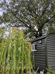 The Rodney Shepards hut