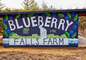 Blueberry Farm Cottage, Hot Tub, Creek, Game Room