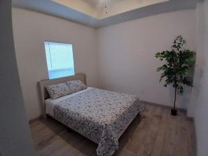 beautiful townhome in the brownsville area