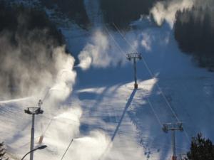 Appartement lumineux au cœur de Villard-de-Lans, 46m², 5 personnes - FR-1-515-89