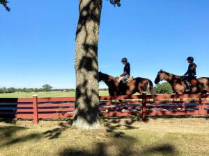 4 person holiday home in Hagby