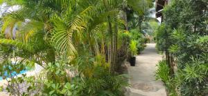 Condomínio na Praia de Taperapuã lazer para sua família