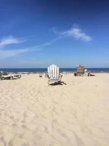 Sea & Dunes - Kraaijenstein