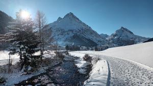 Piz Arina Inklusiv Premium - Card